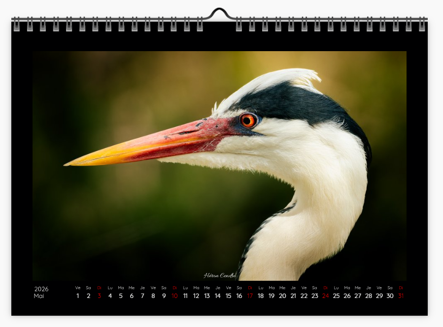 Calendrier photo édition Bouches-du-Rhône 2026