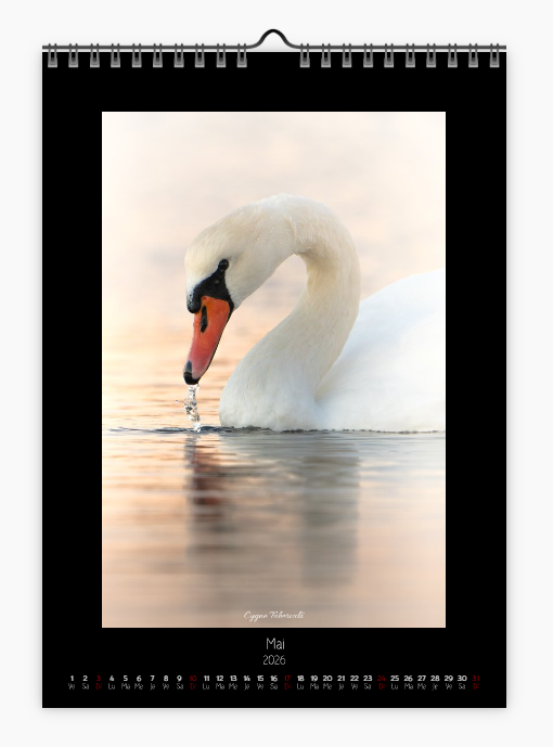 Calendrier photo édition Bouches-du-Rhône 2026