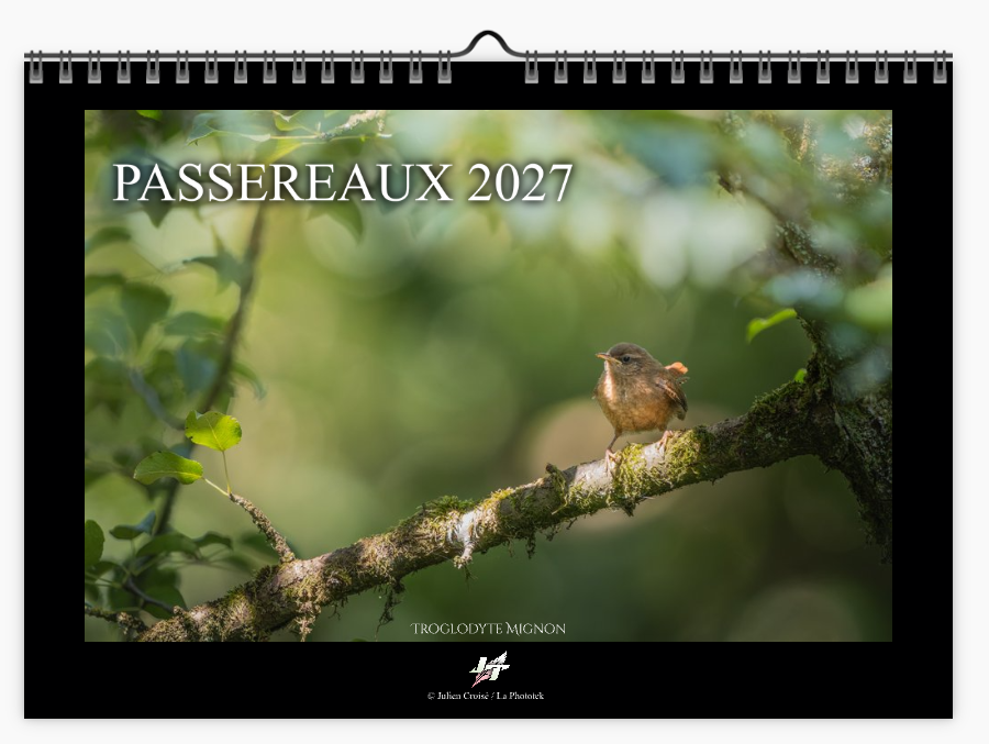 Calendrier 2027 | Passereaux