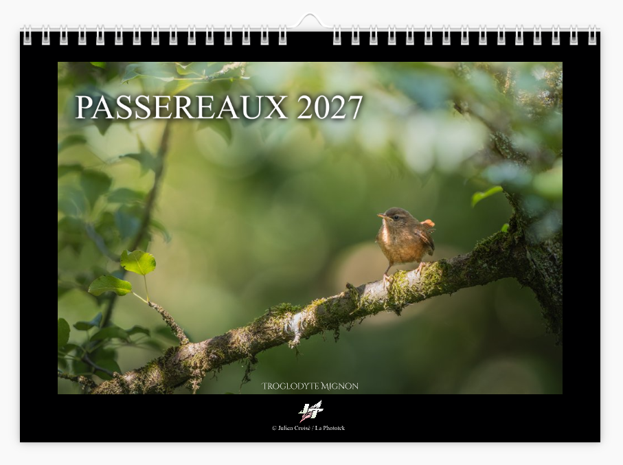 Calendrier 2027 | Passereaux