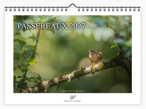 Calendrier 2027 | Passereaux