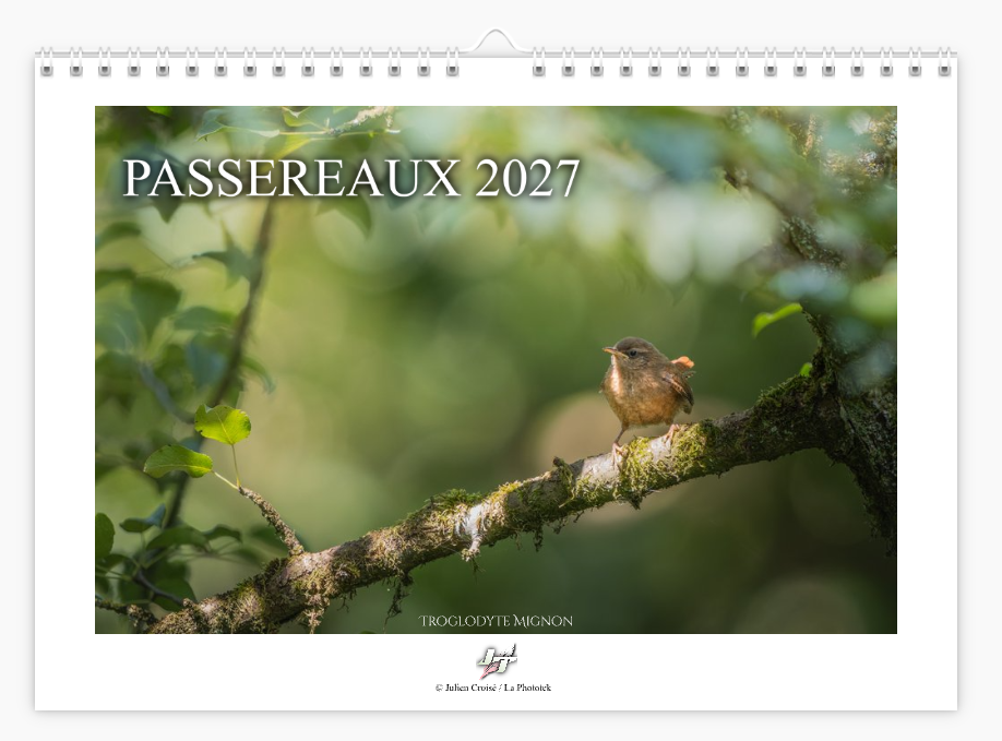 Calendrier 2027 | Passereaux